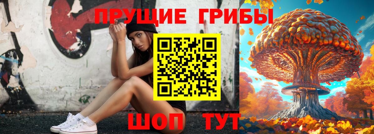 Партизанск  Галлюциногенные грибы Psilocybine cubensis  Вход с VPN 